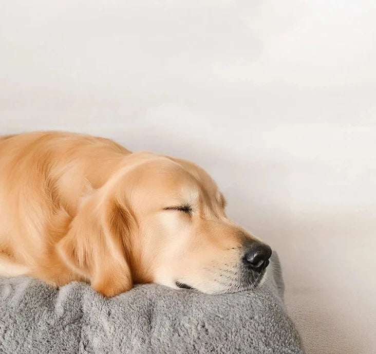 Pawfect Extra Large Plush Dog Bed™
