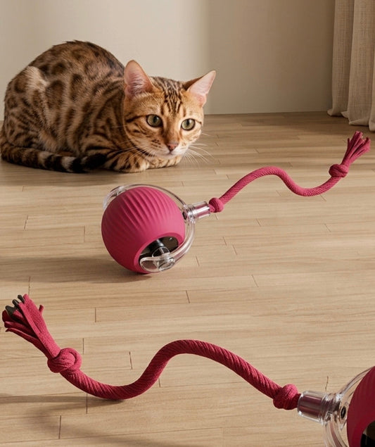 Pawfect Smart Rolling Pet Ball™