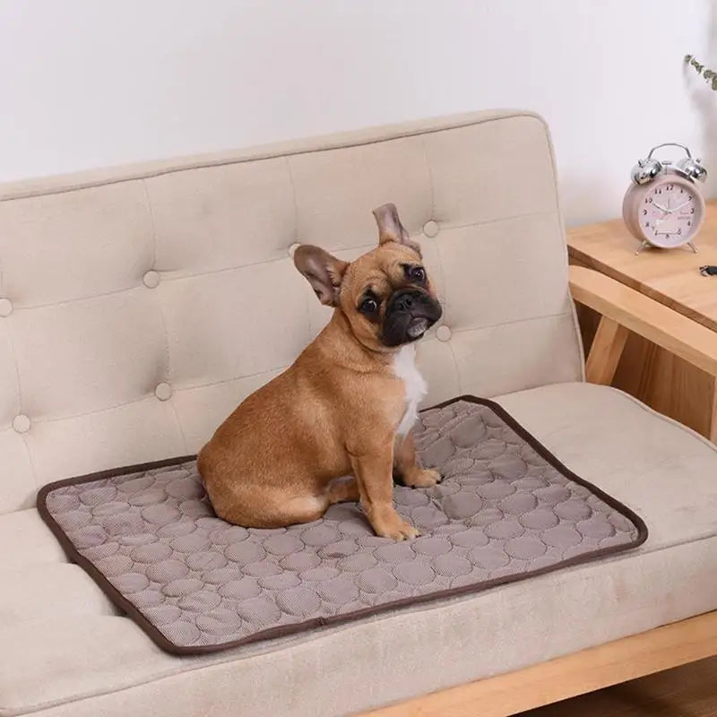 Pawfect Cooling Mat™