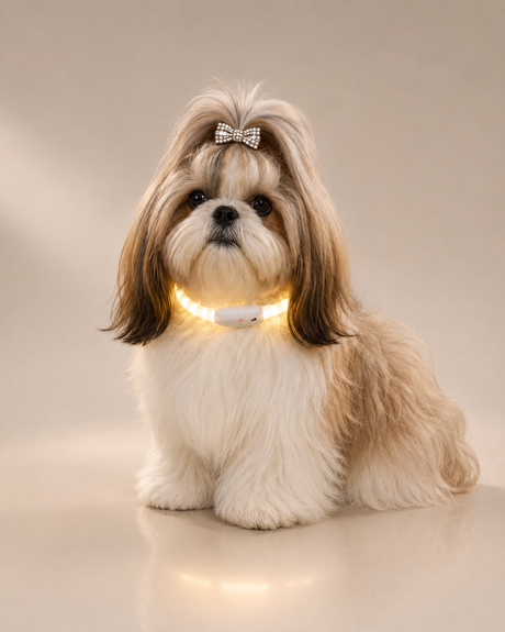 Pawfect LED Safety Collar™