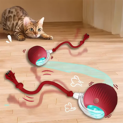 Pawfect Smart Rolling Pet Ball™