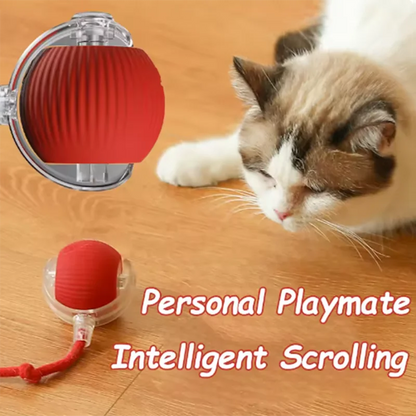 Pawfect Smart Rolling Pet Ball™