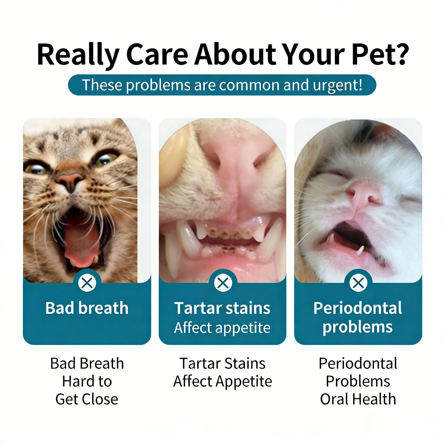 Pawfect Dual-Ended Pet Toothbrush™