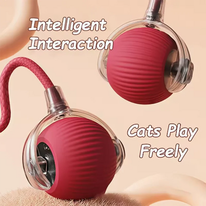 Pawfect Smart Rolling Pet Ball™