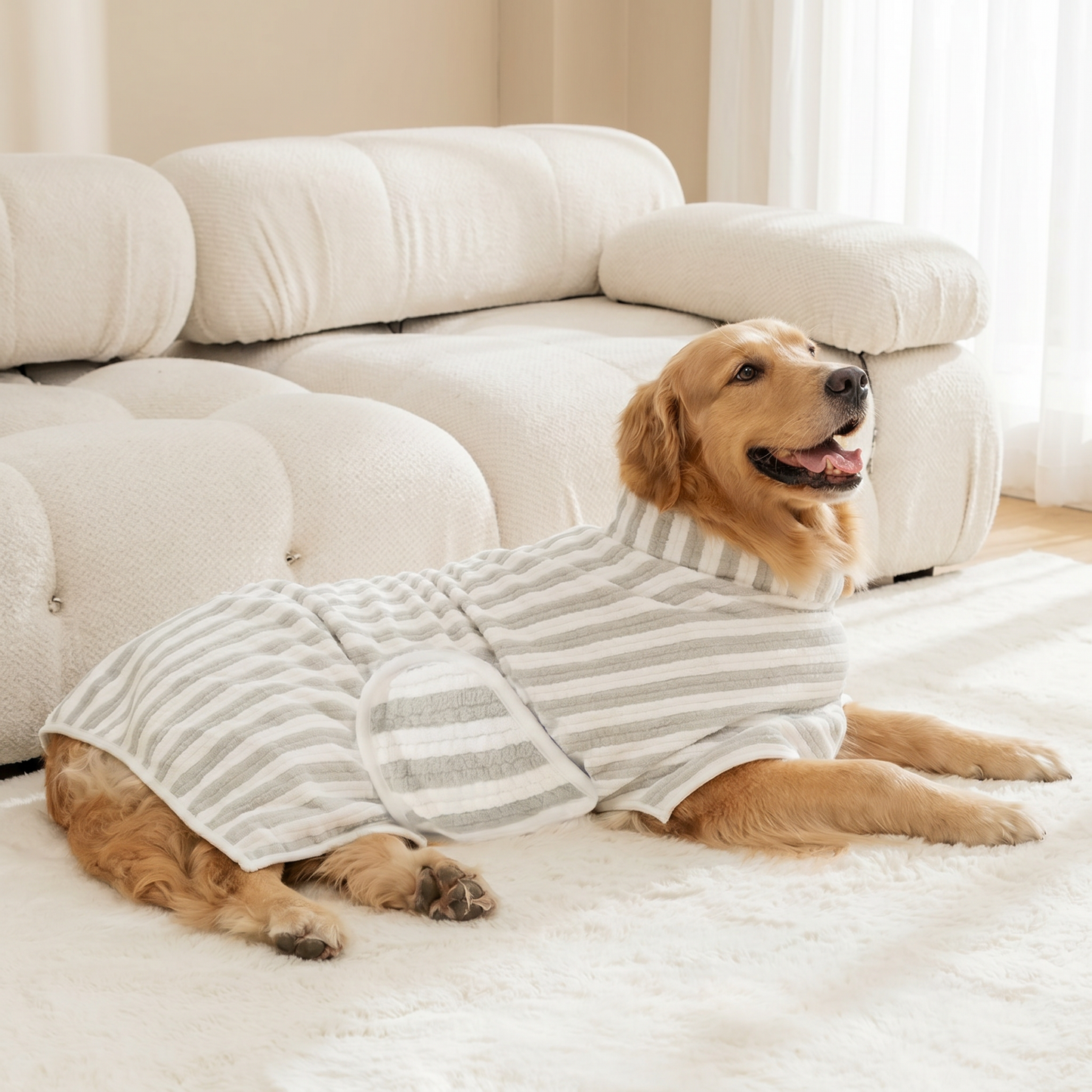 Golden retriever lying down wearing the Pawfect Quick-Dry Dog Bath Robe in grey stripe