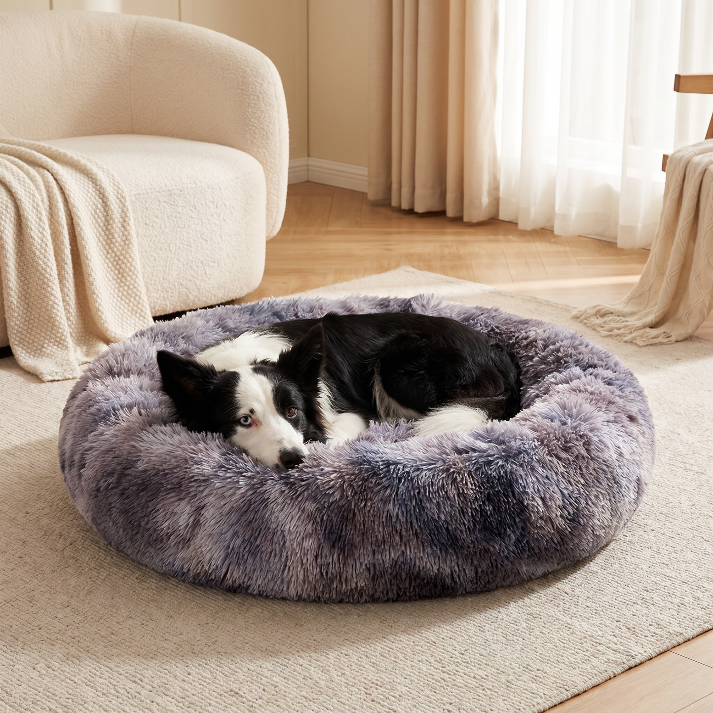 Border collie curled up in the charcoal grey Pawfect Fluffy Cloud Pet Bed