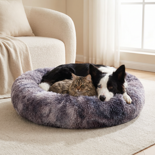 A cat and dog cuddled together in the charcoal grey Pawfect Fluffy Cloud Pet Bed