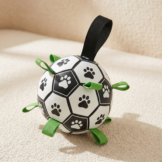 Pawfect Interactive Dog Football with paw print design and green grab tabs on a neutral background