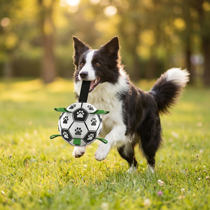 Dog playing with the Pawfect Interactive Dog Football on grass